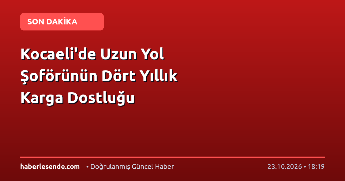 Kocaeli'de Uzun Yol Şoförünün Dört Yıllık Karga Dostluğu