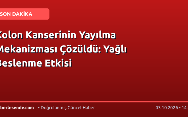 Kolon Kanserinin Yayılma Mekanizması Çözüldü: Yağlı Beslenme Etkisi