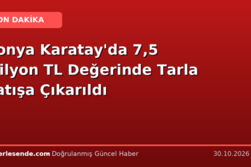Konya Karatay'da 7,5 Milyon TL Değerinde Tarla Satışa Çıkarıldı