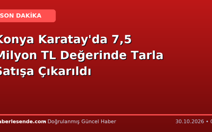 Konya Karatay'da 7,5 Milyon TL Değerinde Tarla Satışa Çıkarıldı