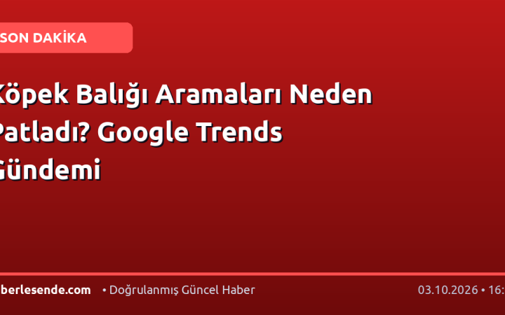 Köpek Balığı Aramaları Neden Patladı? Google Trends Gündemi
