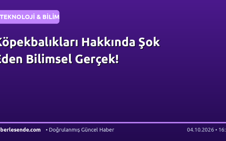 Köpekbalıkları Hakkında Şok Eden Bilimsel Gerçek!