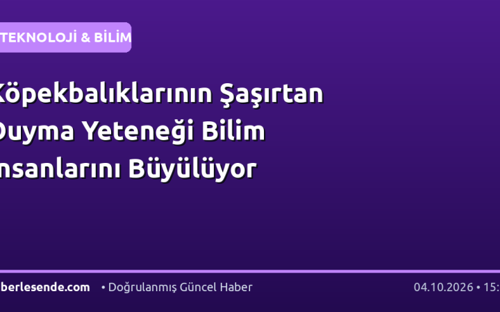 Köpekbalıklarının Şaşırtan Duyma Yeteneği Bilim İnsanlarını Büyülüyor
