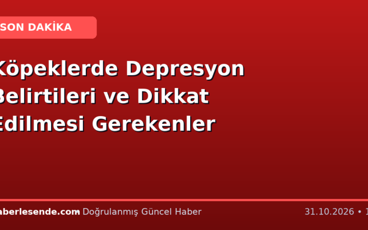 Köpeklerde Depresyon Belirtileri ve Dikkat Edilmesi Gerekenler