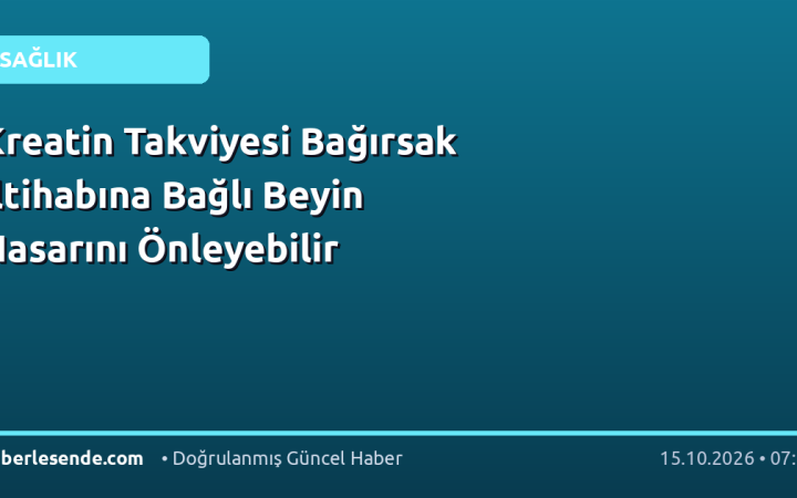 Kreatin Takviyesi Bağırsak İltihabına Bağlı Beyin Hasarını Önleyebilir
