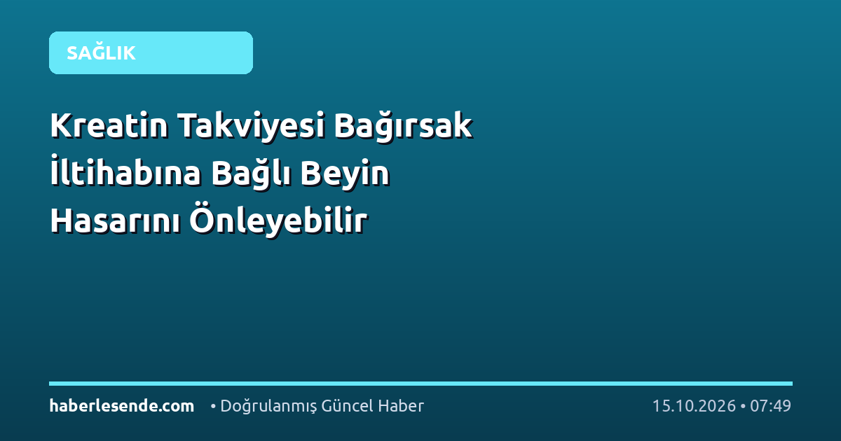 Kreatin Takviyesi Bağırsak İltihabına Bağlı Beyin Hasarını Önleyebilir