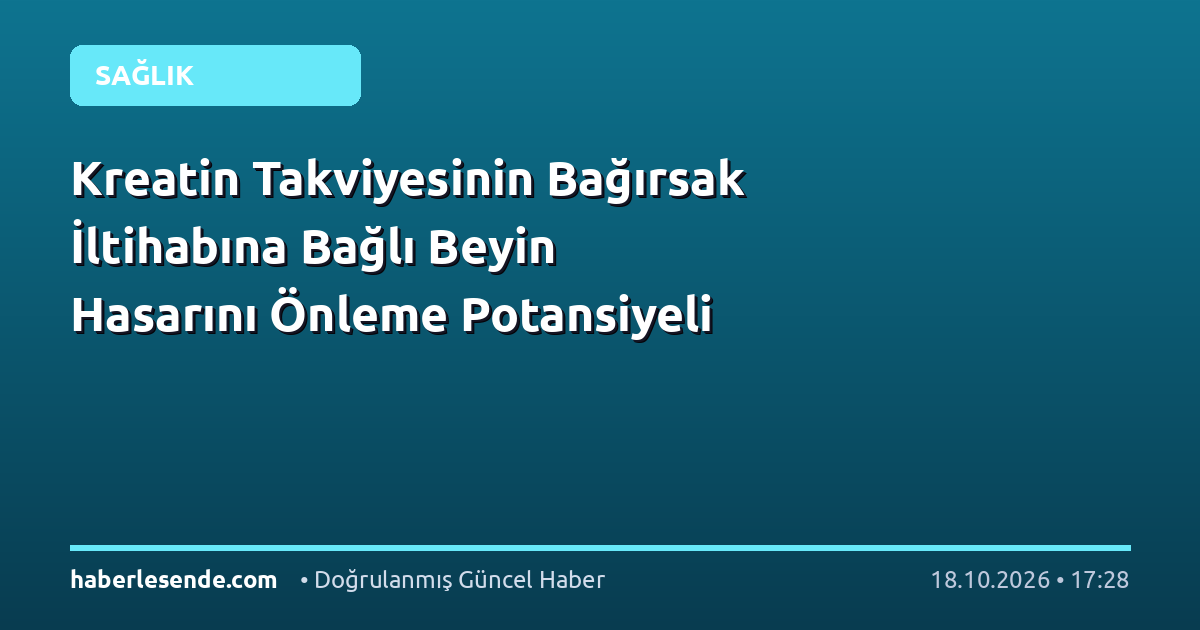 Kreatin Takviyesinin Bağırsak İltihabına Bağlı Beyin Hasarını Önleme Potansiyeli