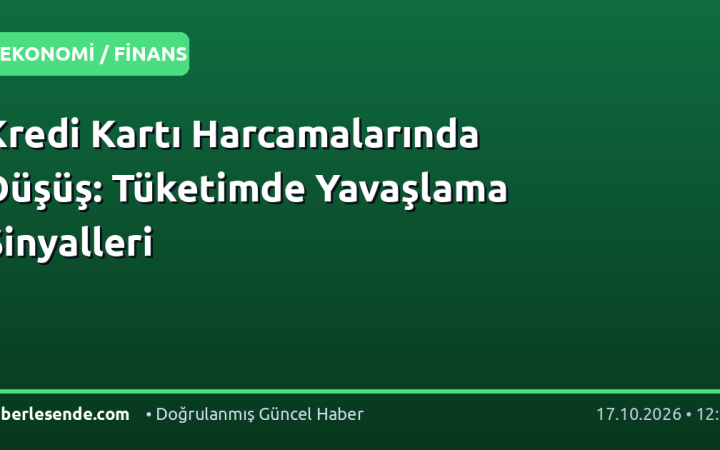 Kredi Kartı Harcamalarında Düşüş: Tüketimde Yavaşlama Sinyalleri