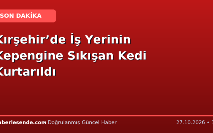 Kırşehir’de İş Yerinin Kepengine Sıkışan Kedi Kurtarıldı