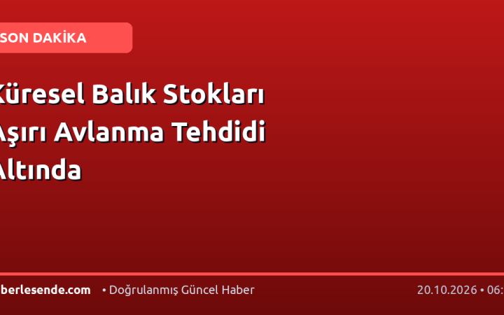 Küresel Balık Stokları Aşırı Avlanma Tehdidi Altında