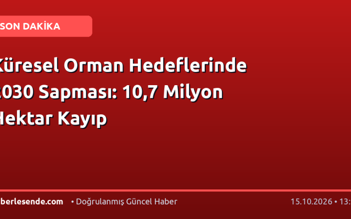 Küresel Orman Hedeflerinde 2030 Sapması: 10,7 Milyon Hektar Kayıp