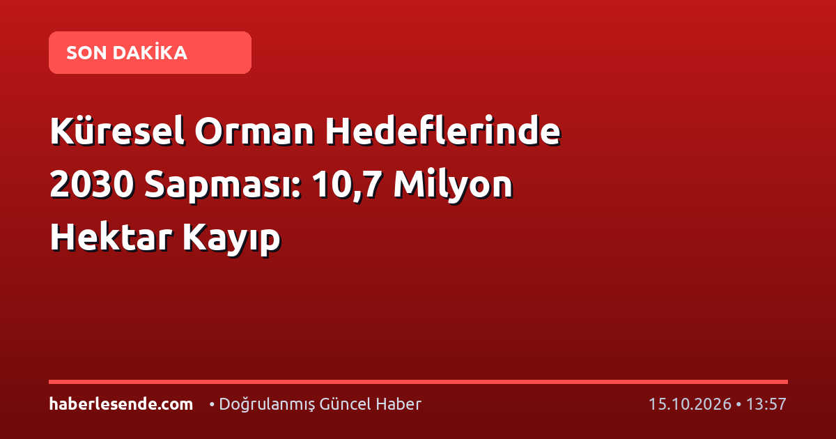 Küresel Orman Hedeflerinde 2030 Sapması: 10,7 Milyon Hektar Kayıp