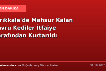 Kırıkkale'de Mahsur Kalan Yavru Kediler İtfaiye Tarafından Kurtarıldı