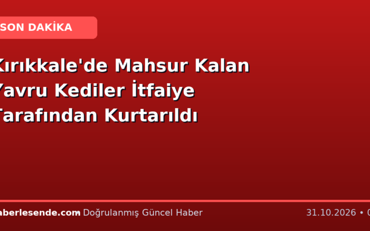 Kırıkkale'de Mahsur Kalan Yavru Kediler İtfaiye Tarafından Kurtarıldı