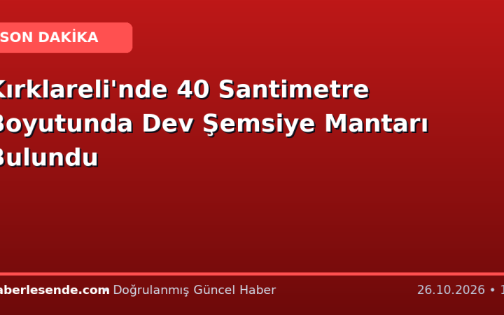 Kırklareli'nde 40 Santimetre Boyutunda Dev Şemsiye Mantarı Bulundu