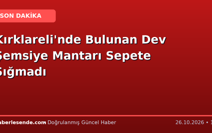 Kırklareli'nde Bulunan Dev Şemsiye Mantarı Sepete Sığmadı