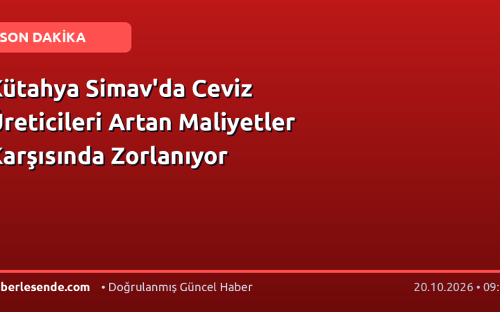 Kütahya Simav'da Ceviz Üreticileri Artan Maliyetler Karşısında Zorlanıyor