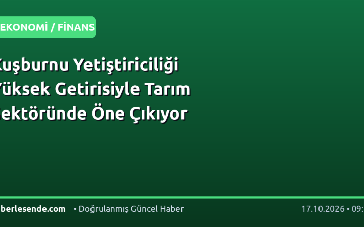 Kuşburnu Yetiştiriciliği Yüksek Getirisiyle Tarım Sektöründe Öne Çıkıyor