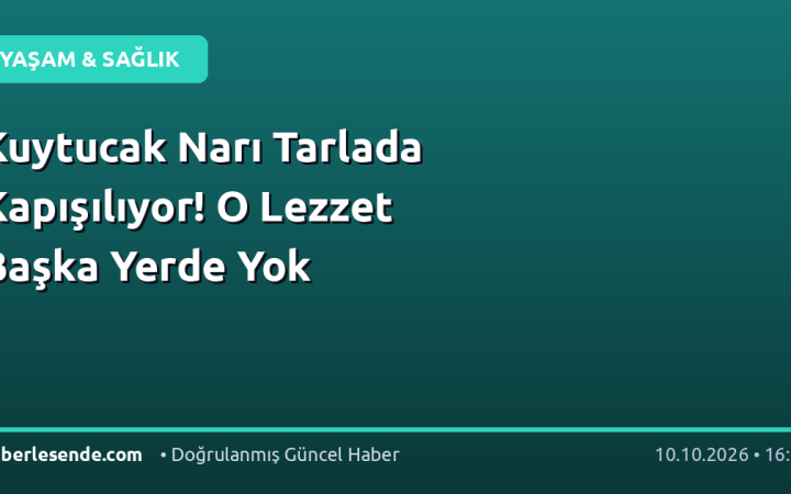 Kuytucak Narı Tarlada Kapışılıyor! O Lezzet Başka Yerde Yok