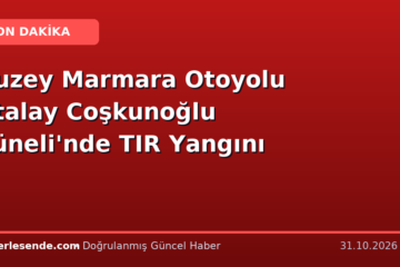 Kuzey Marmara Otoyolu Atalay Coşkunoğlu Tüneli'nde TIR Yangını