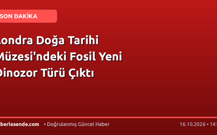 Londra Doğa Tarihi Müzesi'ndeki Fosil Yeni Dinozor Türü Çıktı