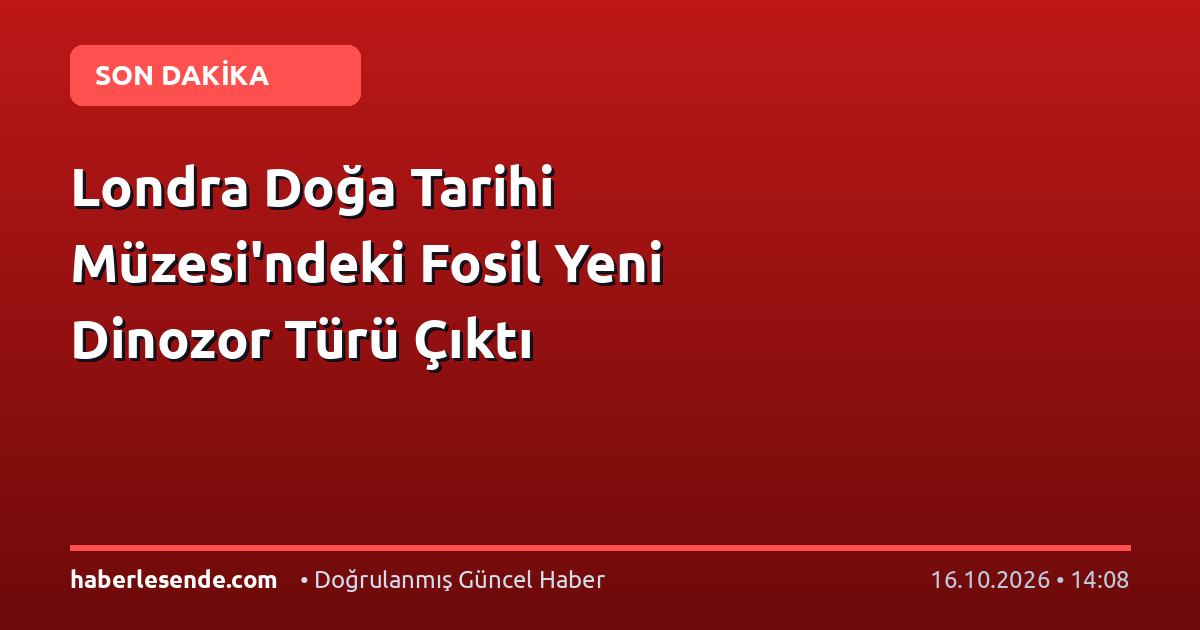 Londra Doğa Tarihi Müzesi'ndeki Fosil Yeni Dinozor Türü Çıktı
