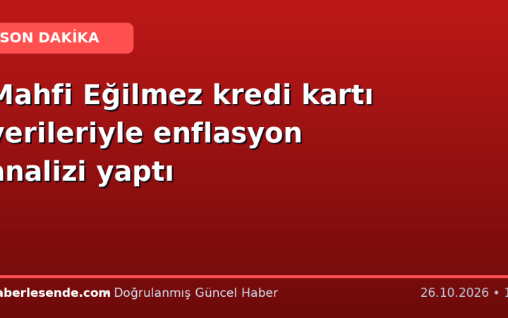 Mahfi Eğilmez kredi kartı verileriyle enflasyon analizi yaptı