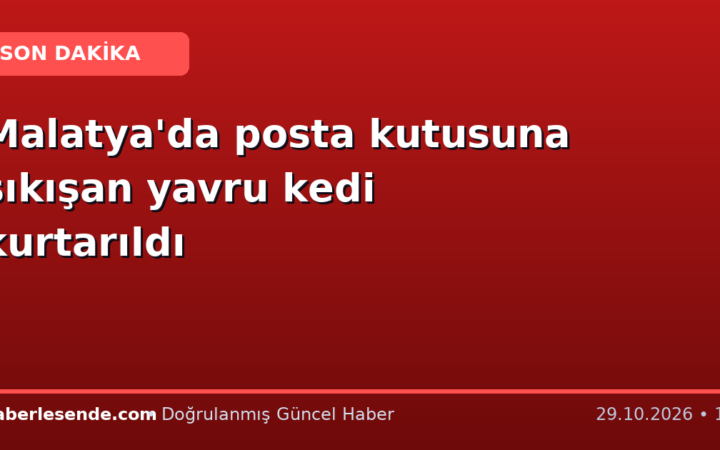 Malatya'da posta kutusuna sıkışan yavru kedi kurtarıldı