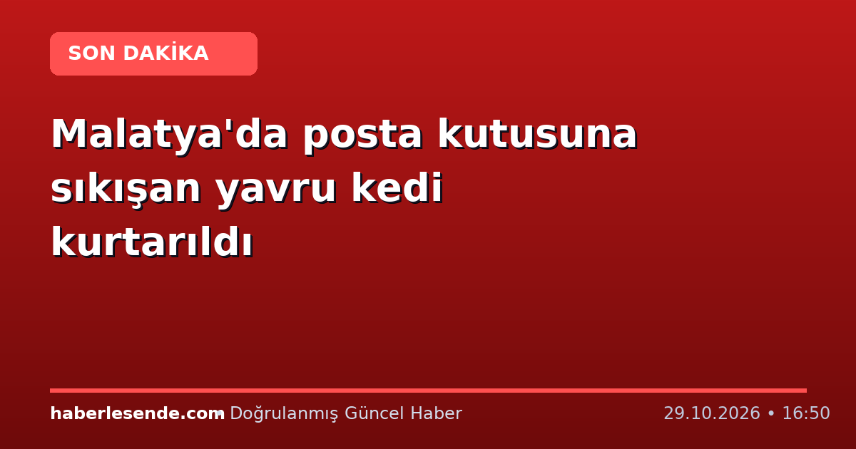 Malatya'da posta kutusuna sıkışan yavru kedi kurtarıldı