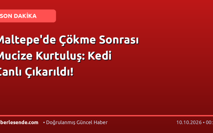 Maltepe'de Çökme Sonrası Mucize Kurtuluş: Kedi Canlı Çıkarıldı!