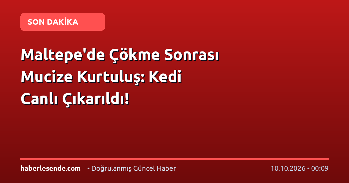 Maltepe'de Çökme Sonrası Mucize Kurtuluş: Kedi Canlı Çıkarıldı!