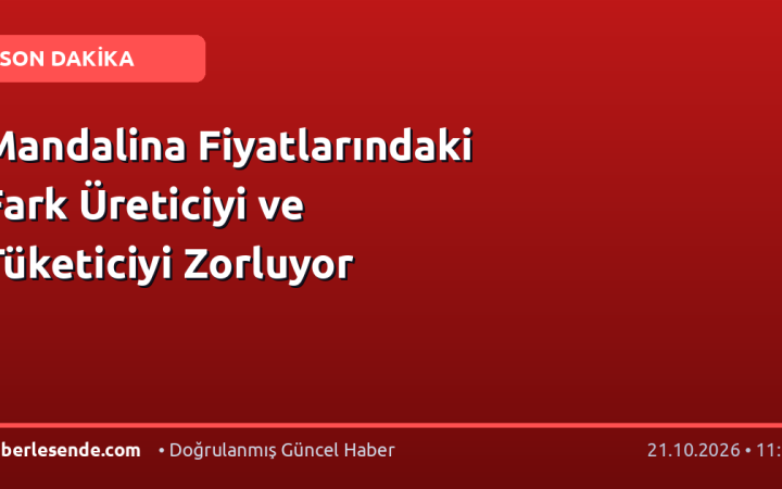 Mandalina Fiyatlarındaki Fark Üreticiyi ve Tüketiciyi Zorluyor