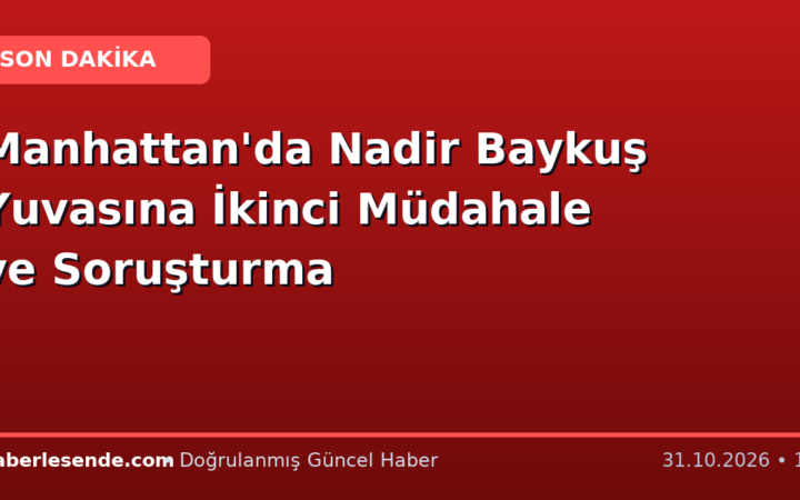 Manhattan'da Nadir Baykuş Yuvasına İkinci Müdahale ve Soruşturma