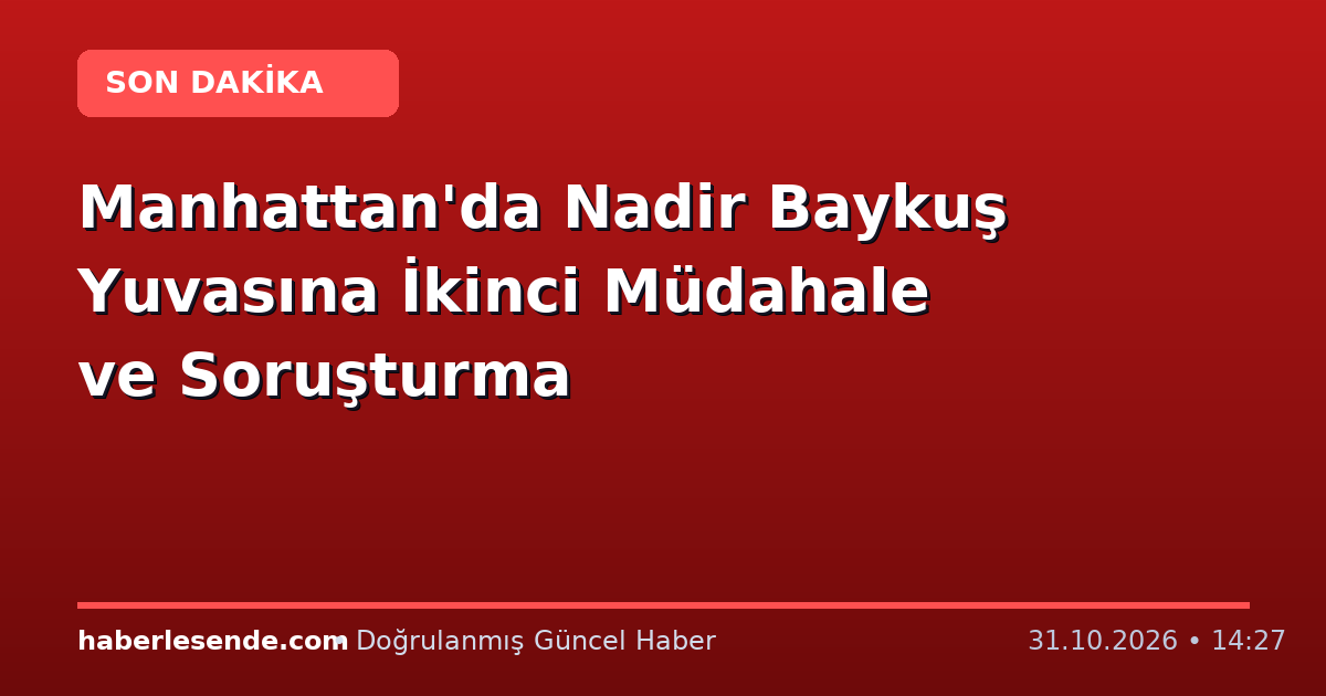 Manhattan'da Nadir Baykuş Yuvasına İkinci Müdahale ve Soruşturma