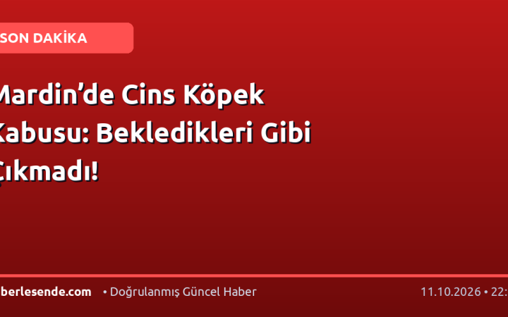 Mardin’de Cins Köpek Kabusu: Bekledikleri Gibi Çıkmadı!