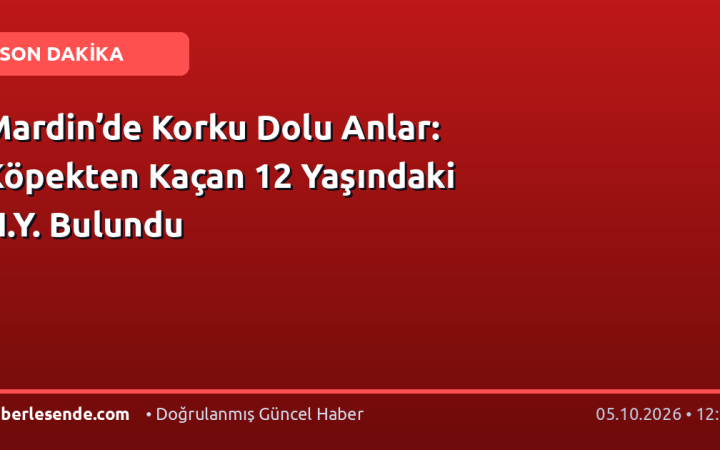 Mardin’de Korku Dolu Anlar: Köpekten Kaçan 12 Yaşındaki N.Y. Bulundu
