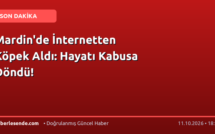 Mardin'de İnternetten Köpek Aldı: Hayatı Kabusa Döndü!