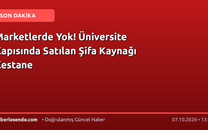 Marketlerde Yok! Üniversite Kapısında Satılan Şifa Kaynağı Kestane