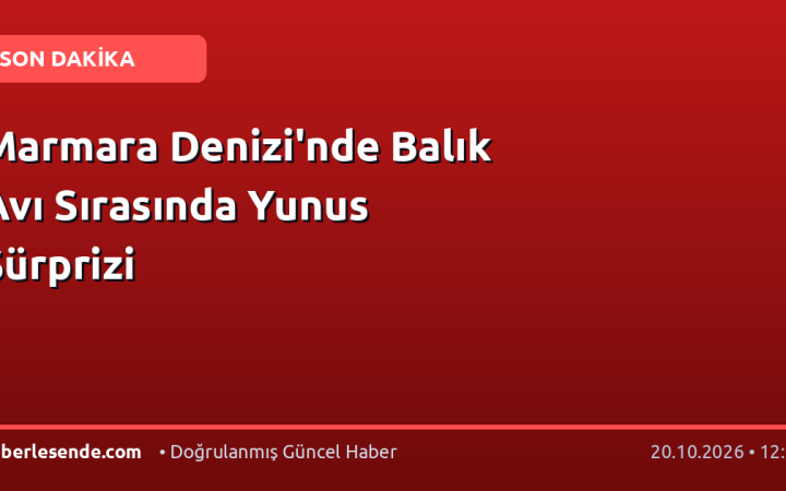 Marmara Denizi'nde Balık Avı Sırasında Yunus Sürprizi