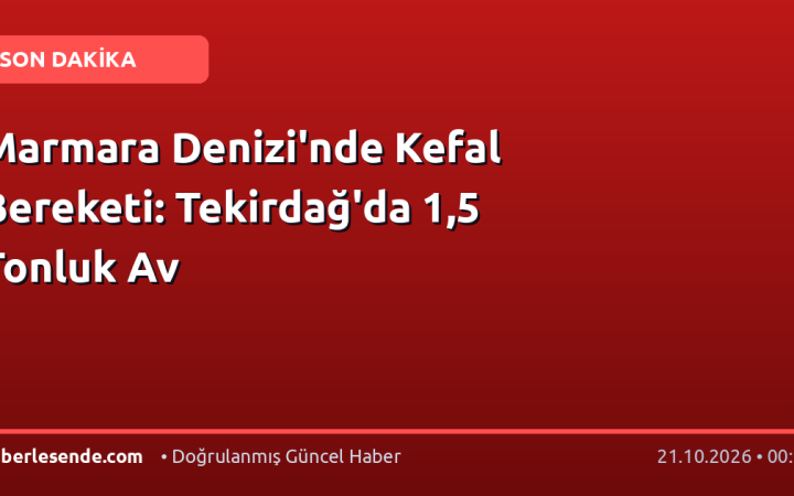 Marmara Denizi'nde Kefal Bereketi: Tekirdağ'da 1,5 Tonluk Av
