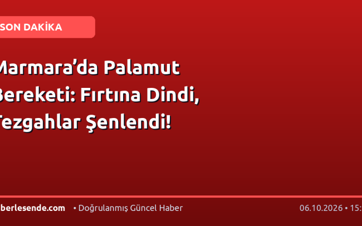 Marmara’da Palamut Bereketi: Fırtına Dindi, Tezgahlar Şenlendi!
