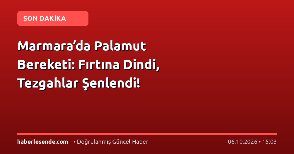 Marmara’da Palamut Bereketi: Fırtına Dindi, Tezgahlar Şenlendi!