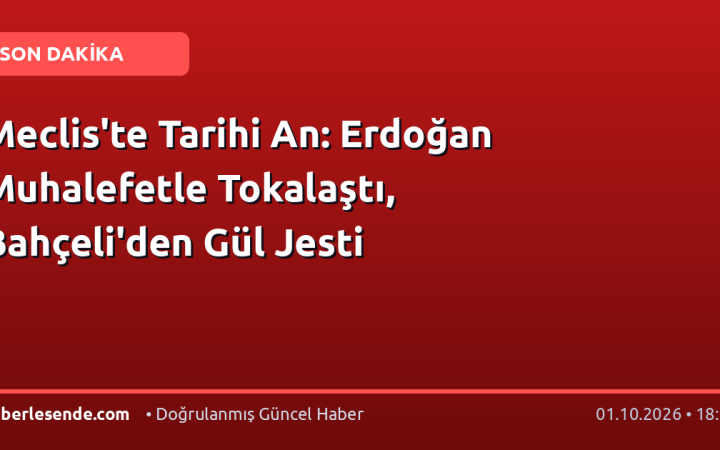 Meclis'te Tarihi An: Erdoğan Muhalefetle Tokalaştı, Bahçeli'den Gül Jesti