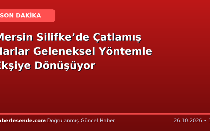 Mersin Silifke’de Çatlamış Narlar Geleneksel Yöntemle Ekşiye Dönüşüyor
