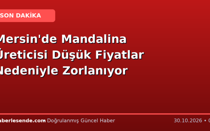 Mersin'de Mandalina Üreticisi Düşük Fiyatlar Nedeniyle Zorlanıyor