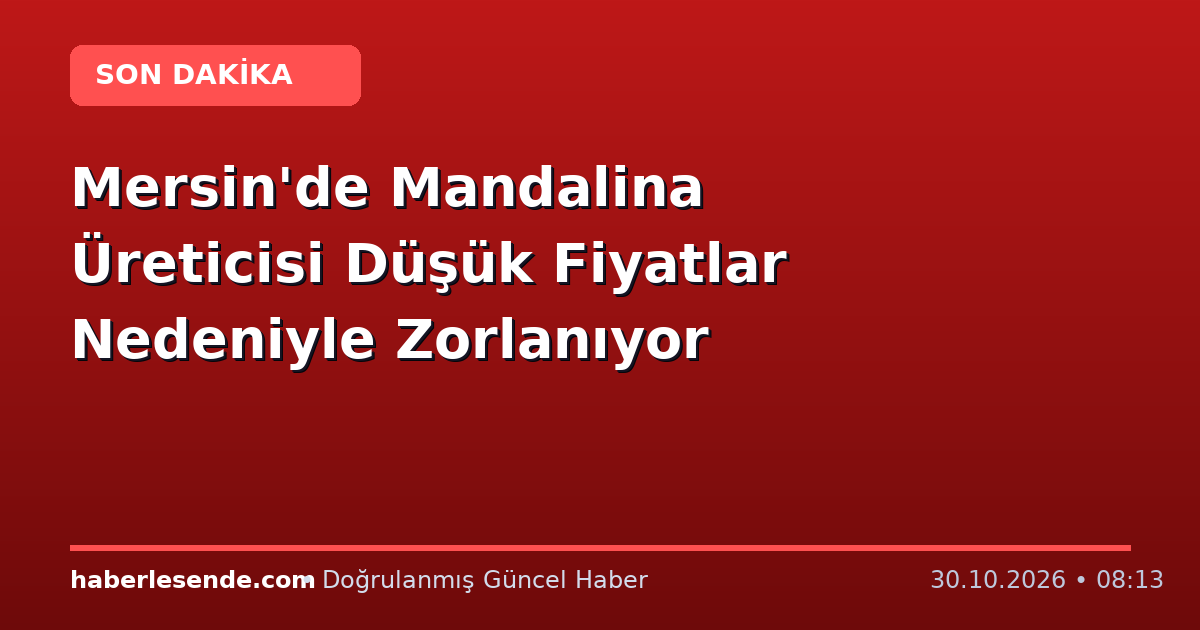 Mersin'de Mandalina Üreticisi Düşük Fiyatlar Nedeniyle Zorlanıyor