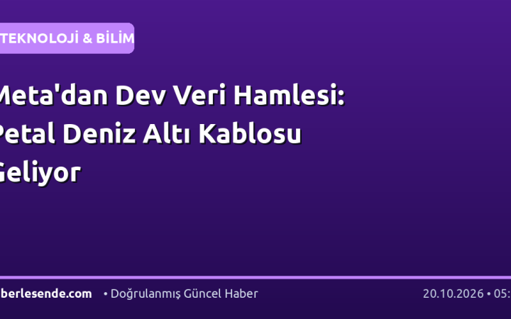 Meta'dan Dev Veri Hamlesi: Petal Deniz Altı Kablosu Geliyor