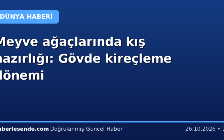 Meyve ağaçlarında kış hazırlığı: Gövde kireçleme dönemi