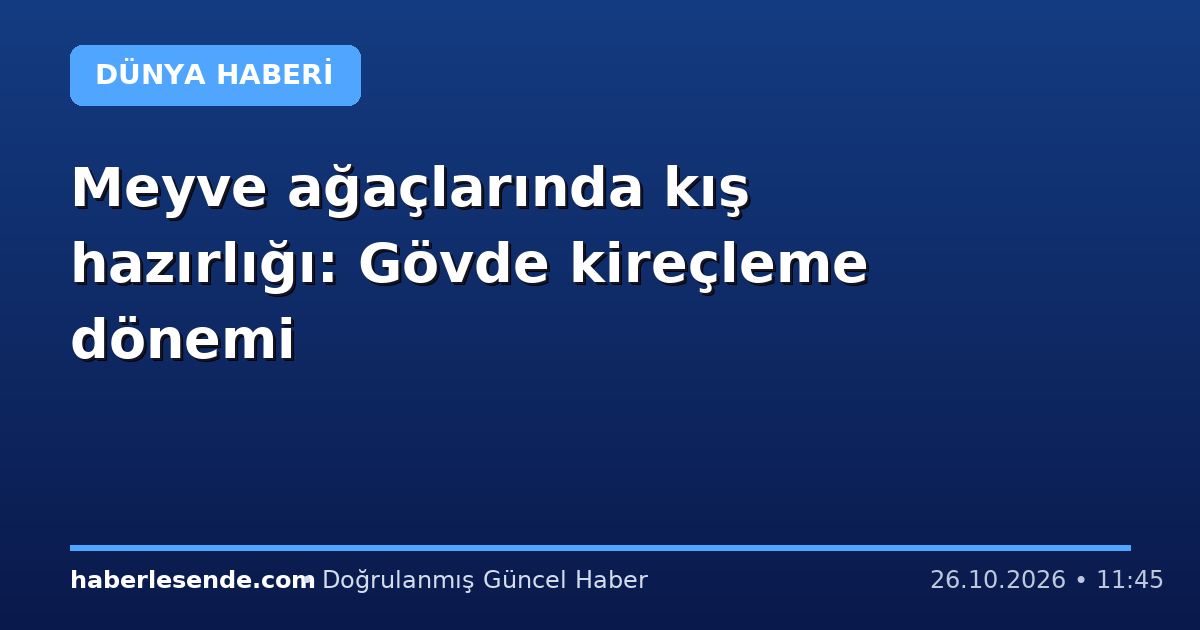 Meyve ağaçlarında kış hazırlığı: Gövde kireçleme dönemi