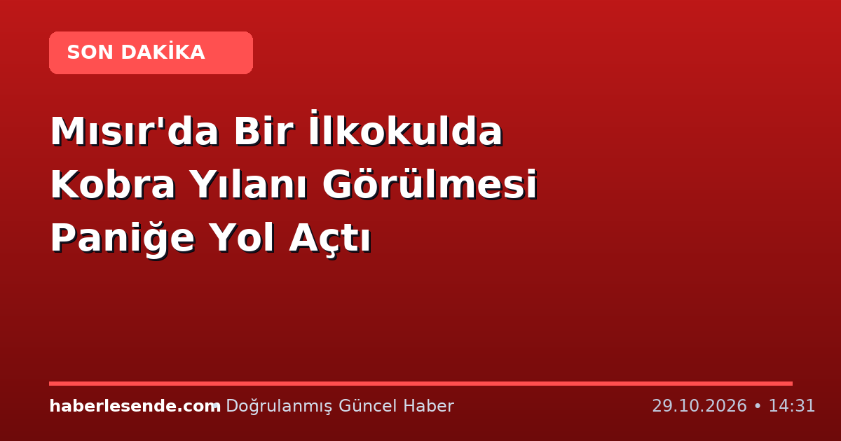 Mısır'da Bir İlkokulda Kobra Yılanı Görülmesi Paniğe Yol Açtı